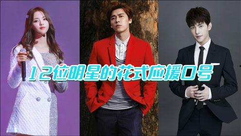 有关明星的应援口号