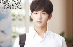 杨洋娱乐八卦,娱乐圈风云人物，揭秘他的星途历程与情感纠葛